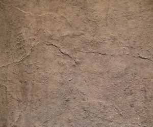 GCI-The Concrete Guy-4
