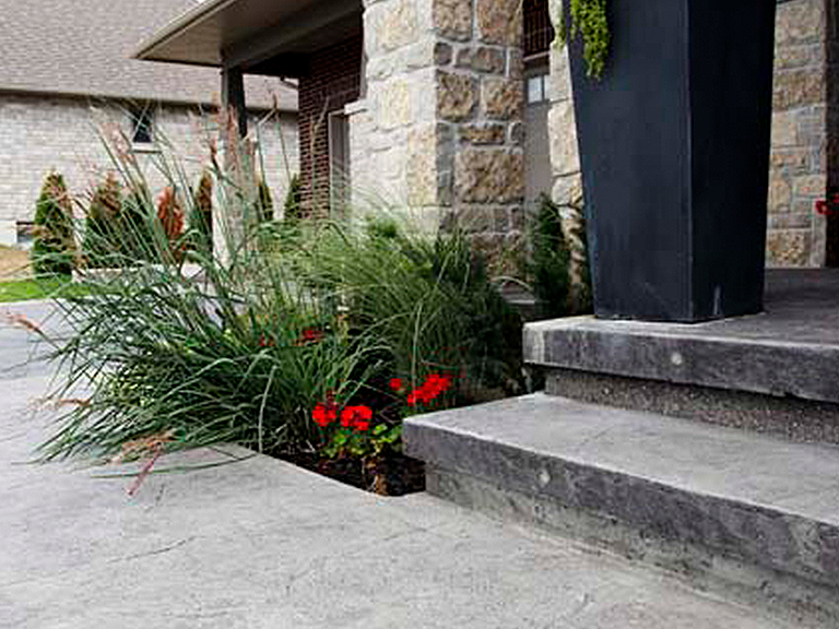 front steps and plants